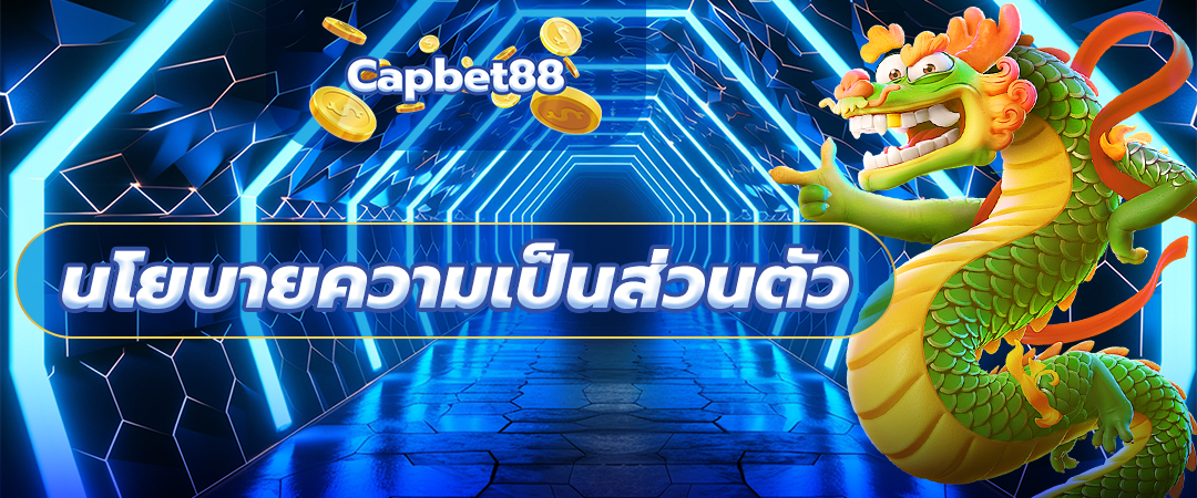 นโยบายความเป็นส่วนตัว